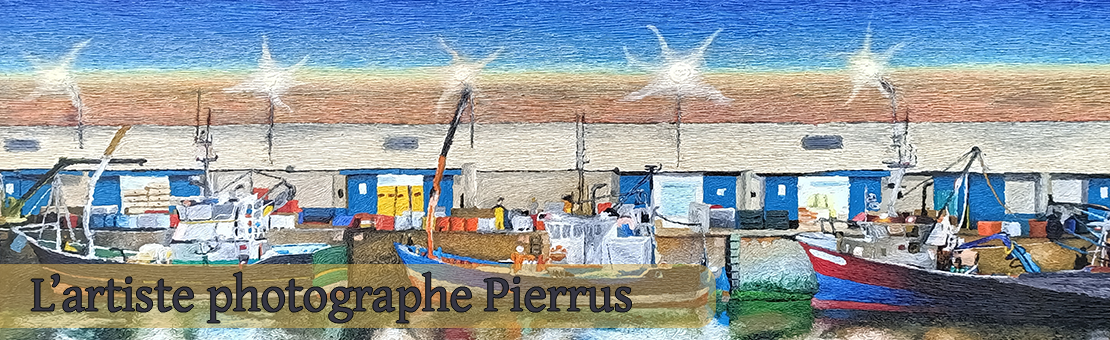 Pierrus, un nouvel artiste à la galerie